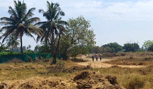 Forked dirt pathway surrounded by scattered trees at Sobha World City