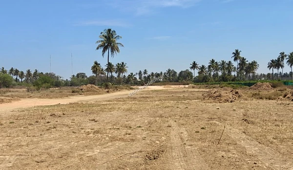 Extensive land leveling and grading completed across the sprawling plot of Sobha World City
