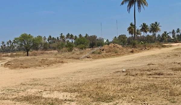 Mounds of white, red, and brown soil stored at Sobha World City