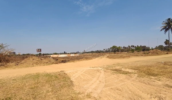 Scattered dry brush and small trees dotting the Sobha World City site